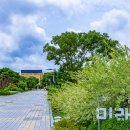 부천중앙공원 이미지