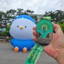 프로스펙스창원 | iM뱅크 코리아 오픈 마라톤 10K 참가