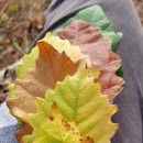 너브내마을밥상 이미지