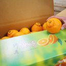 맛조아농장 이미지