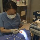 믿음가는치과의원 이미지