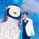 쓰담쓰담 이미지