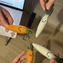 예지수선