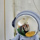 서대전네거리 이미지