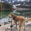 사랑의원 이미지