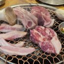 도야진가