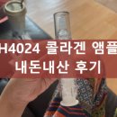 H4024 | H4024 콜라겐 앰플 내돈내산 후기 효과 사용법 부작용