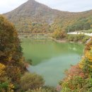 칠곡황학산휴양림 Daum카페