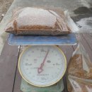 향긋 오리지날~ 아까시아, 잡화꿀~ 이미지