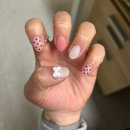 지지배배