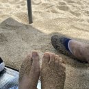 안목해변주차장 이미지