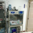 아쿠아동물병원 이미지