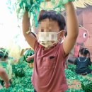 나무와숲어린이집 이미지