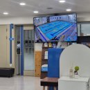 아이나래풀 이미지