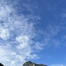 어울림편백펜션 이미지