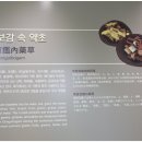 맑은샘한의원 네이버블로그