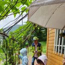 오음초병설유치원 이미지