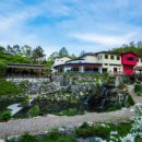 깊은산속 이미지