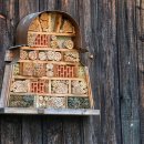 호텔 더 그레이 이미지