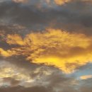 노을농장 이미지