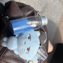 하나비 데리고 종묘 다녀왔어요 이미지