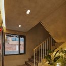 강남-260 이미지