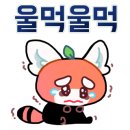 정관장 풍동점