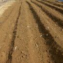 학동곶감마을 이미지