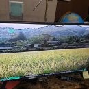 삼하리마을회관 | 고전 MBC 농촌드라마 28년 전 전원일기를 보며 ! &lt;최장수 드라마&gt;