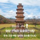 영양 산해리 오층모전석탑 | 영양 산해리 오층 모전석탑 (봉감모전오층석탑): 한국 고유 석탑 양식의 정수를 만나다