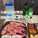 청하 | 수원금곡동맛집 양갈비 맛집 청하양꼬치 솔직후기