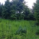 반제농장 이미지