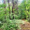 금남면사무소 이미지