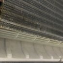 김앤김연합의원 이미지