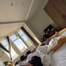 수미테크 | 조지아 여행 마무리 (에티하드 자이나교 기내식 후기)