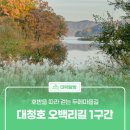 대청호오백리길 두메마을길 | 호반을 따라 걷는 두메마을길 '대청호 오백리길 1구간'