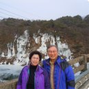 DMZ, 평화의 편지 이미지