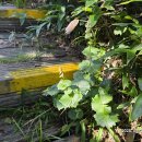 일월민박 이미지