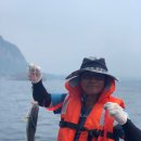 [제주도 서귀포 이색체험] 사계어촌마을과 함께하는 물반 고기반 형제섬 낚시