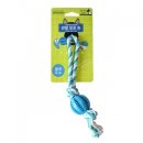 덴탈투유 이미지