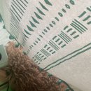 감성으로 채우는 플라워 홈 스타일링 | 10월 가을 인테리어 아이디어 – 따뜻한 감성으로 집 꾸미기