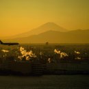 지구를 식히다. 미국 스타트업의 '염상상법'과 일본에 교훈. 이미지