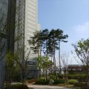 신당인덕1로-6 이미지