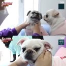 보미농장 이미지