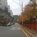 신갈마로-4 이미지