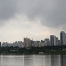 강남-178 이미지