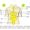 부항요법 - 부작용 없고 신속한 부항요법 이미지