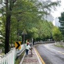 학산도서관 | 전주 카페 그리너리 후기(학산숲속시집도서관 근교)