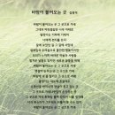 바람부는날