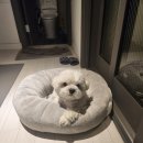 우리별부동산공인중개사사무소 이미지